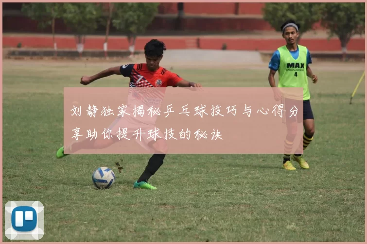 刘静独家揭秘乒乓球技巧与心得分享助你提升球技的秘诀