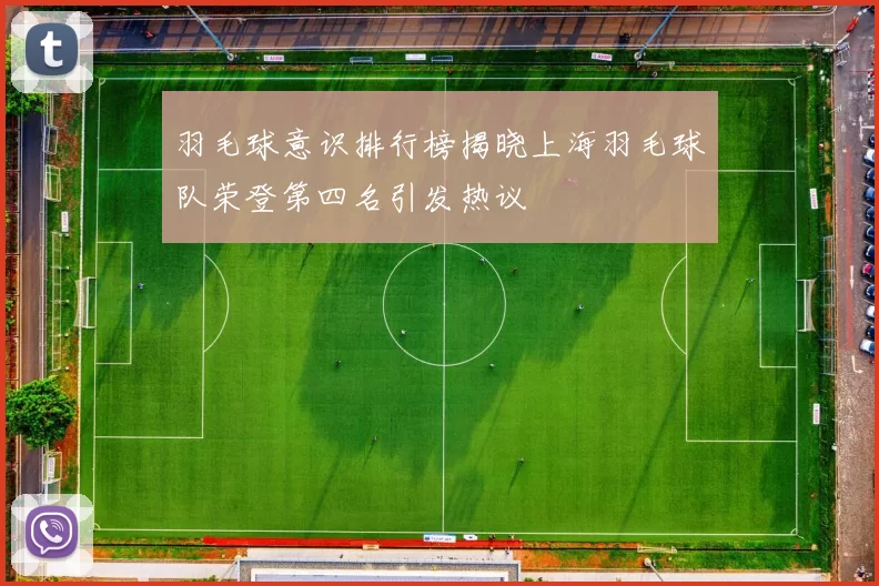 羽毛球意识排行榜揭晓上海羽毛球队荣登第四名引发热议