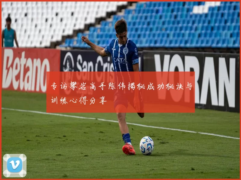专访攀岩高手陈伟揭秘成功秘诀与训练心得分享